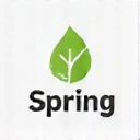 Spring Framework icon